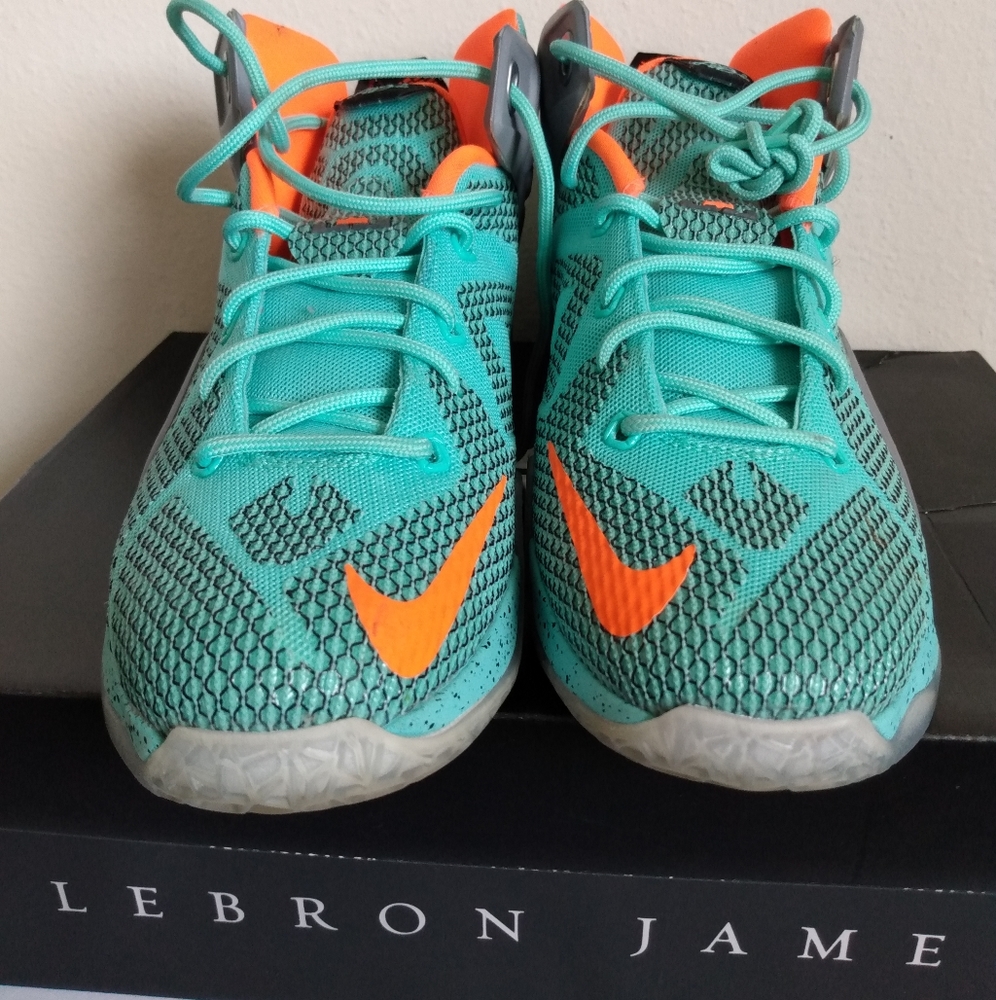 LeBron James Twelve Sneakers